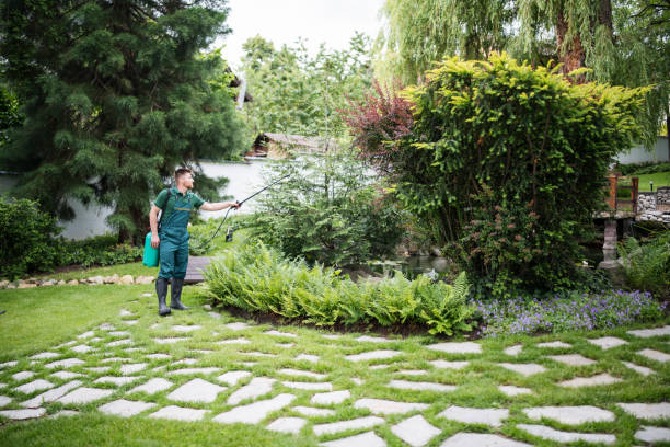 Best Best Pest Control Companies  in Trenton, MO