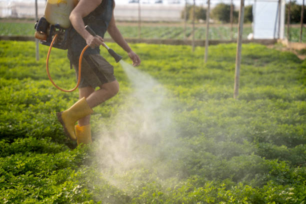 Best Commercial Pest Control Services  in Trenton, MO