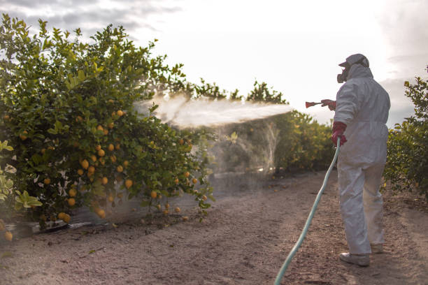 Best Pest Prevention Services  in Trenton, MO