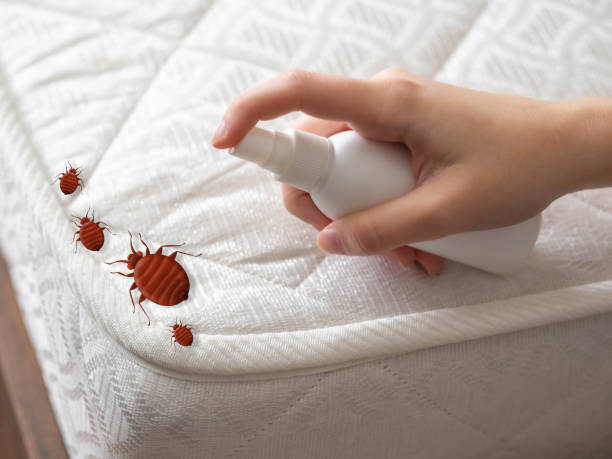 Best Exterminator Services  in Trenton, MO